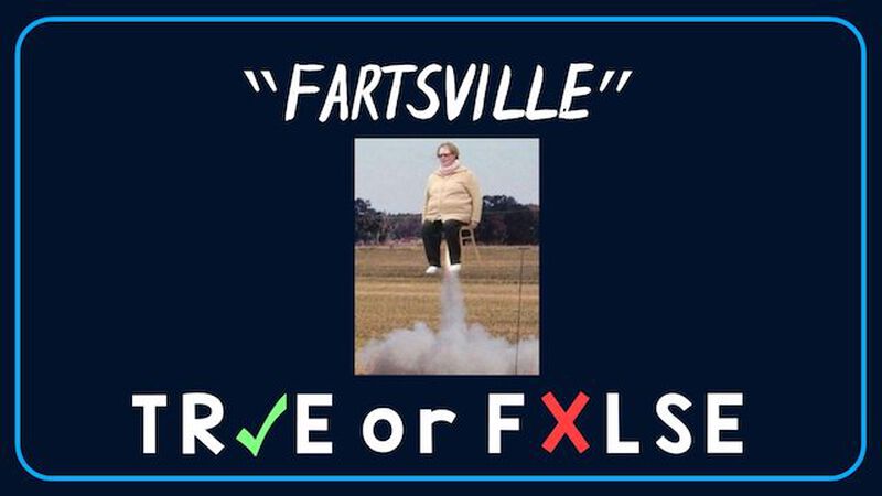 TRUE or FALSE - Weird City Edition